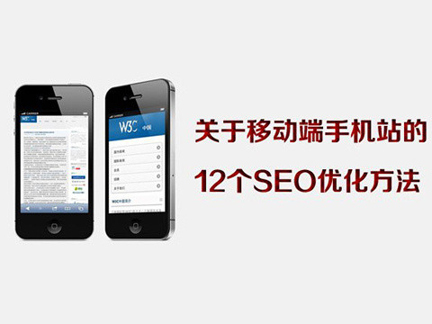 福州seo基础教程网站如何查被百度收录了多少