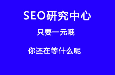 seo优化网门户网站应该如何优化